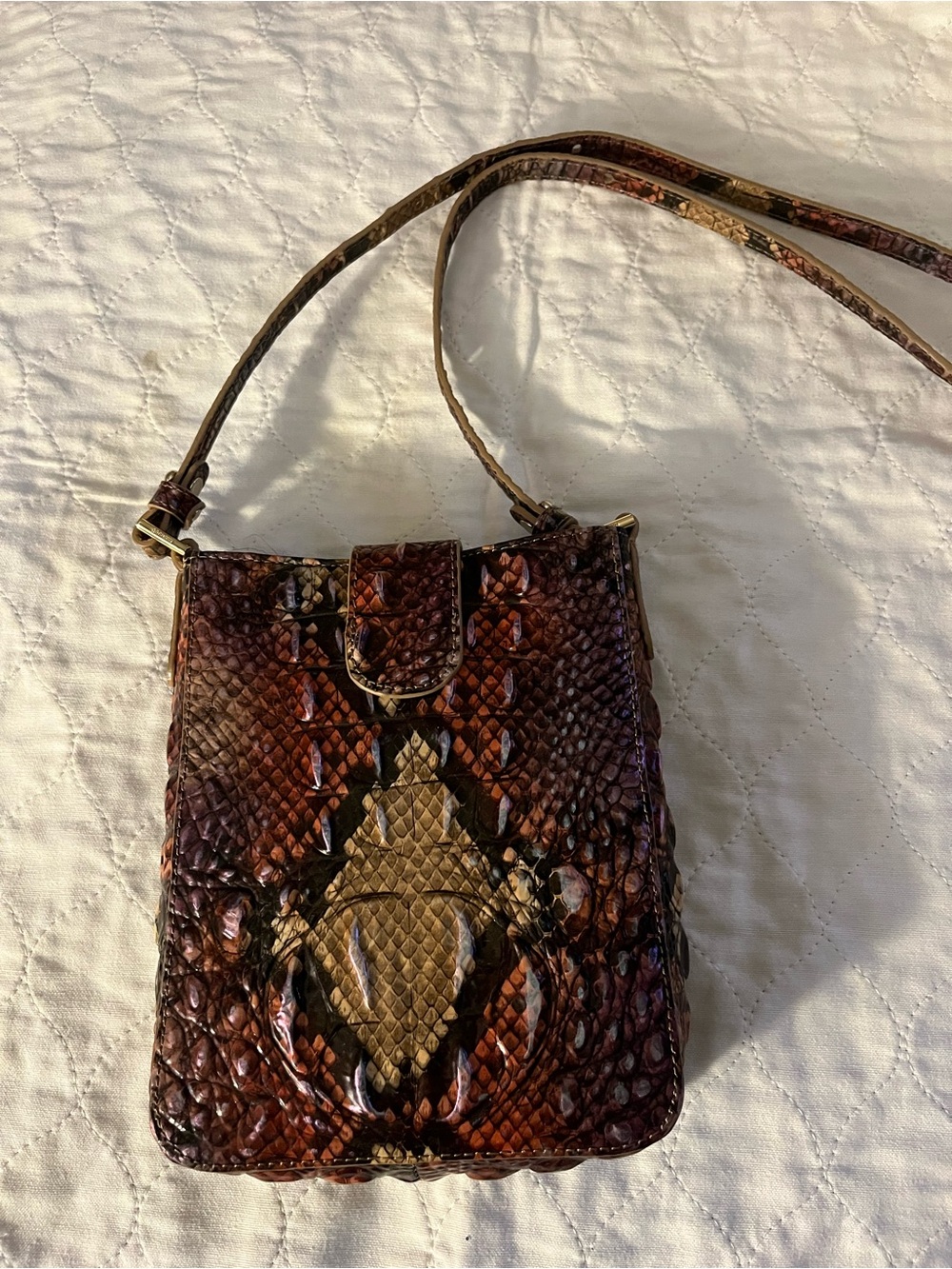 Snake-Embossed Crossbody Bag in Brown Multi - Picture 2 of 2